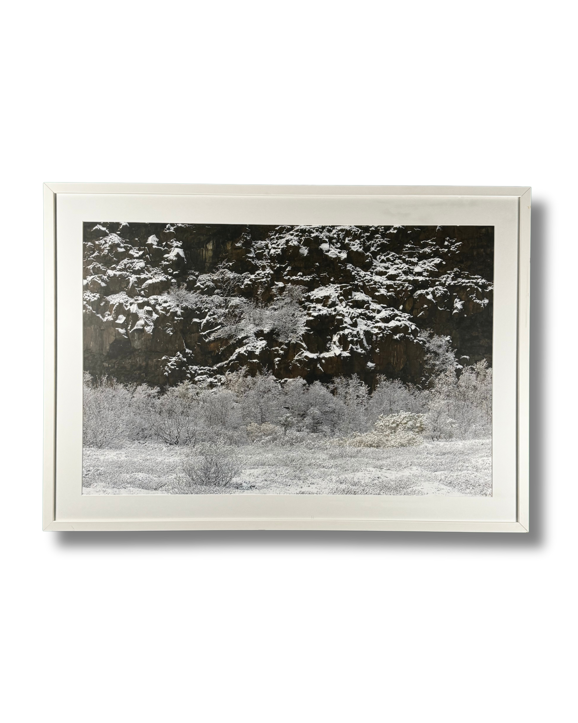 18. Finnur P. Fróðason