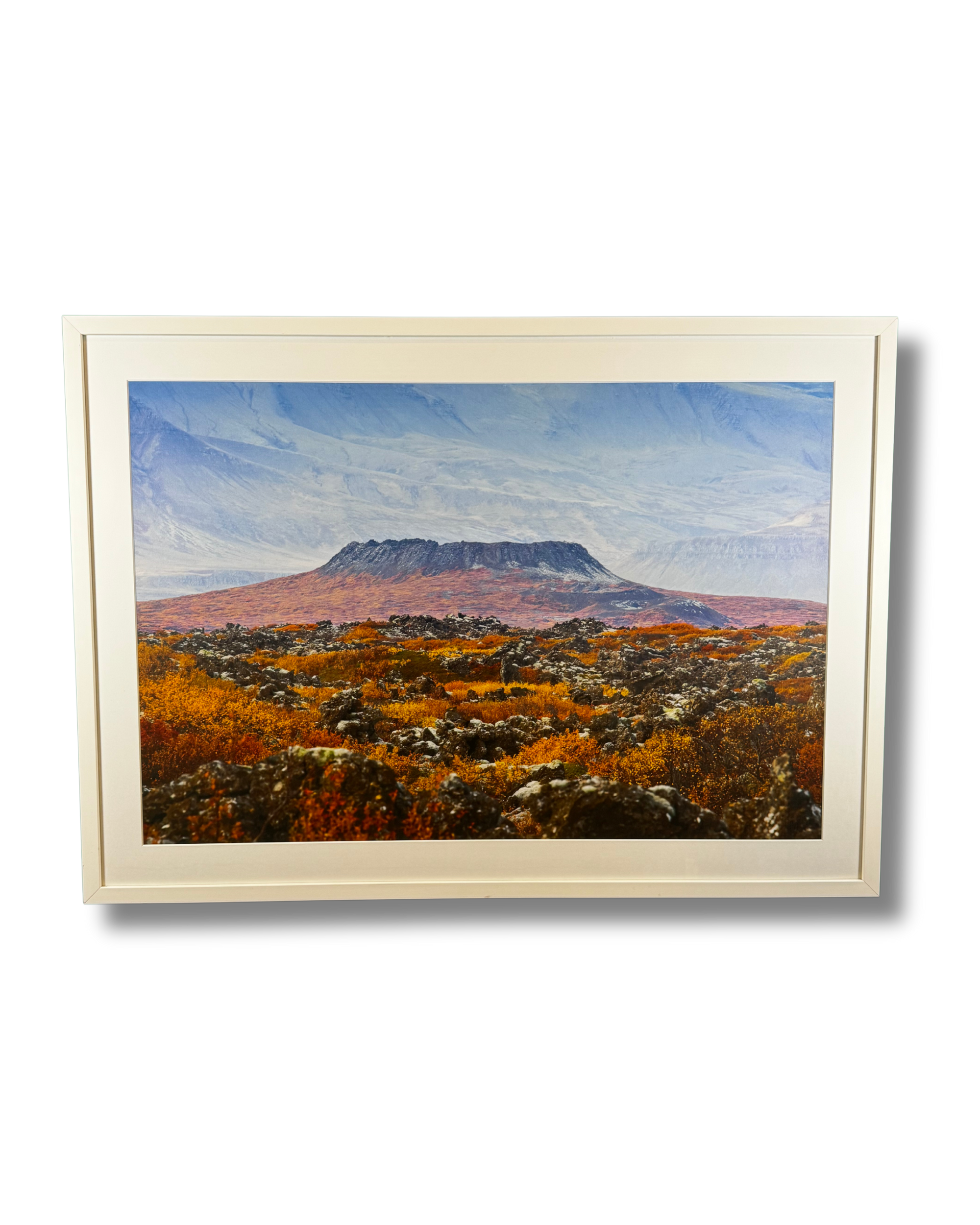 13. Finnur P. Fróðason ( )