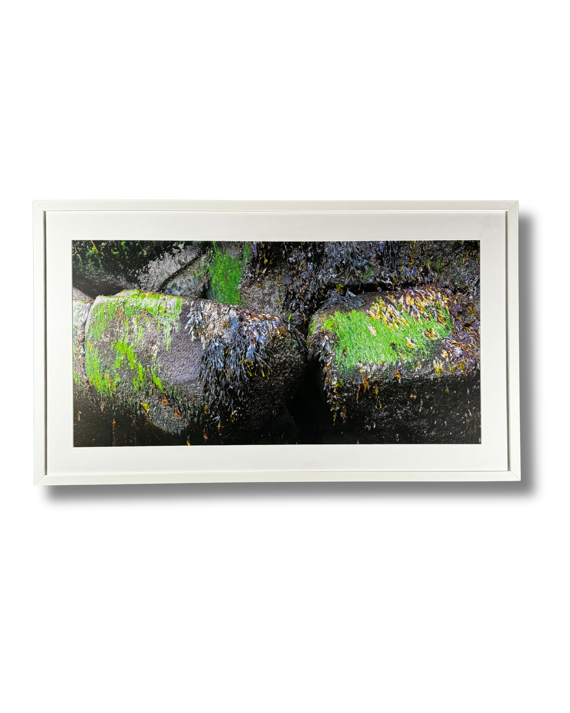 15. Finnur P. Fróðason